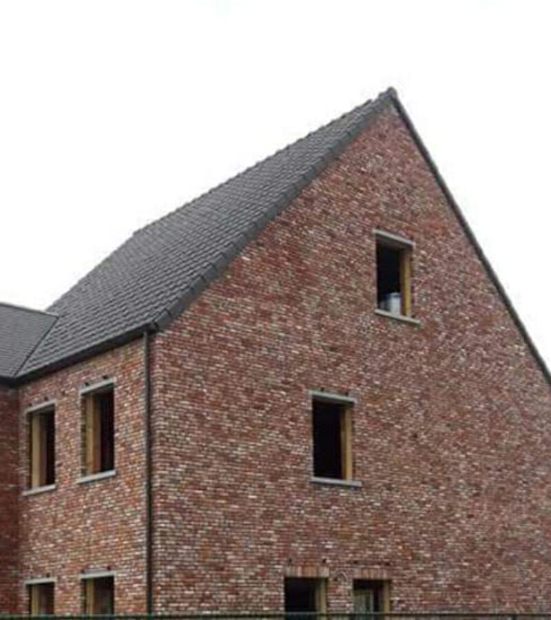 Professionele dakwerker voor dak- en gevelrenovaties